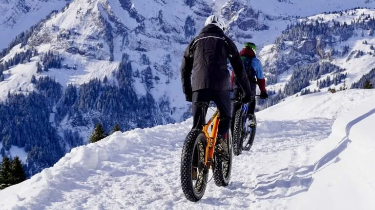 fat tire bikes in the mountains